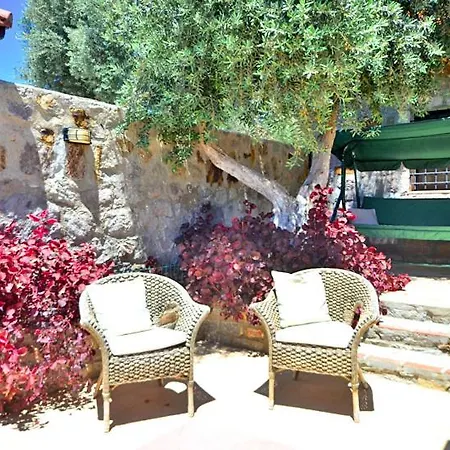 Villa Zeytin Vila *