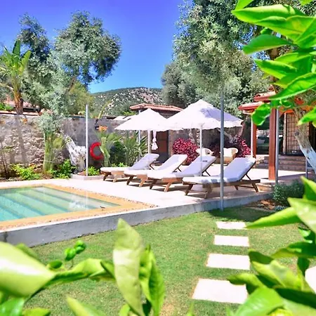 Villa Zeytin *