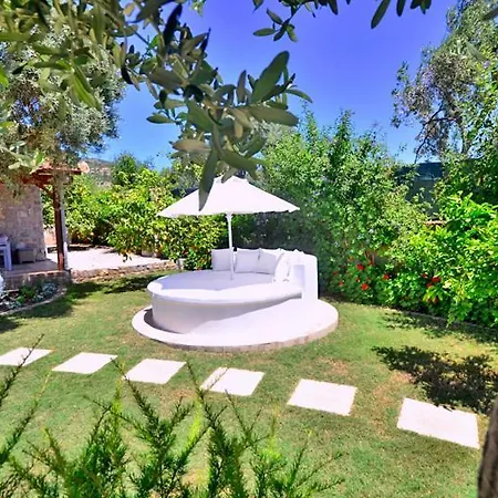 Villa Villa Zeytin *